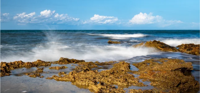 Daily wellness and Activity Practice Sessions