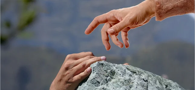 Daily wellness and Activity Practice Sessions